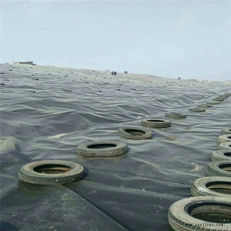 潤澤 沉淀池防滲膜 HDPE防滲膜廠家供應