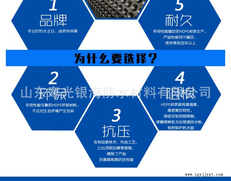 蓄排水板g副本_03