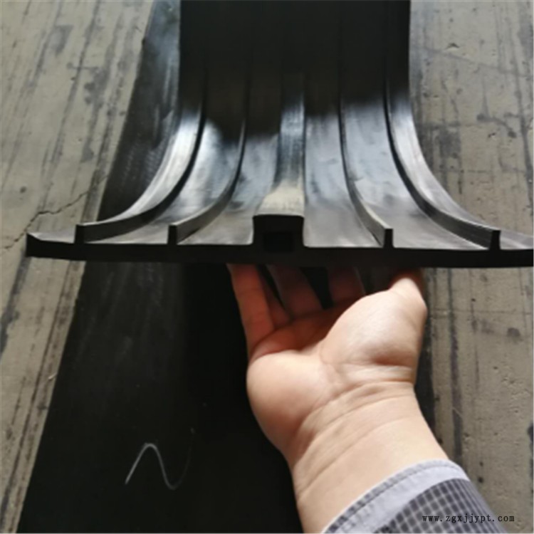 寶晟 廠家供應(yīng)中埋式橡膠止水帶 鋼邊式橡膠止水帶 加工定做