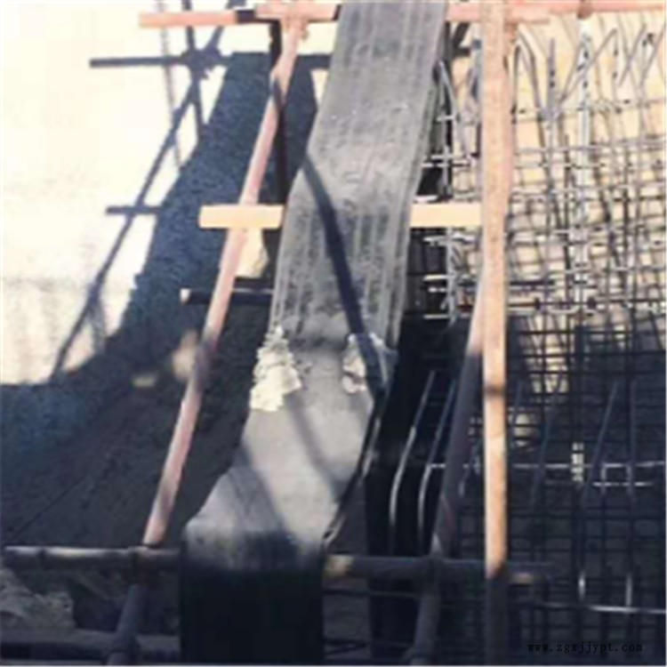 寶晟 廠家供應(yīng)中埋型止水帶 鋼邊式橡膠止水帶 支持定制 耐老化