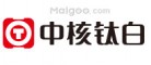 中核鈦白