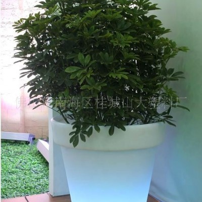 提供大型滾塑加工，滾塑花盆，異型滾塑加工(圖)