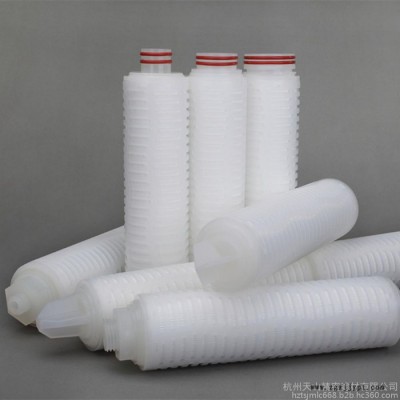 進(jìn)口聚醚砜膜PES折疊濾芯30英寸