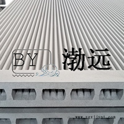 專注生產(chǎn)16年塑燒板帶PTFE涂層BYSL1500/9等多種型號(hào) 塑燒板濾芯 燒結(jié)板生產(chǎn)廠家