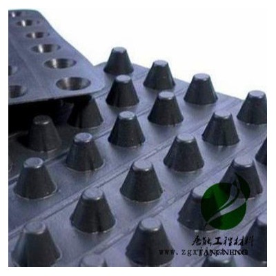 廠家出售排水板 施工方便維護(hù)簡單切經(jīng)濟(jì) 價格實惠 排水板