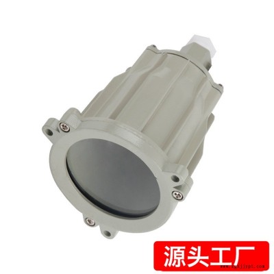 防爆視孔燈 BSD96化學容器LED視孔燈 12V24V36V220V反應釜視鏡燈