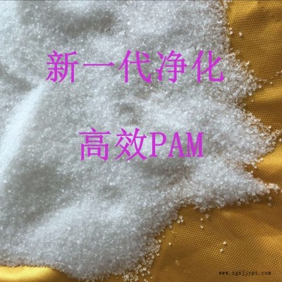 供應(yīng)聚丙烯酰胺，陰離子聚丙烯酰胺，陰離子PAM 聚丙烯酰胺絮凝劑陰，飲用水級聚丙烯酰胺