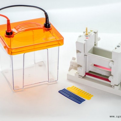 雙膠迷你垂直電泳槽 VE-180高透明度的PMMA槽體 可跑單膠、雙膠