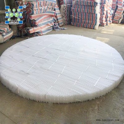 塑料孔板波紋填料 聚丙烯波紋填料 PP規(guī)整填料 聚丙烯絲網(wǎng)波紋填料價(jià)格