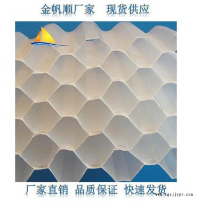 金帆順供應 蜂窩斜管填料 六角蜂窩斜管填料 沉淀池污水處理聚丙烯PP環(huán)保材質(zhì)斜管
