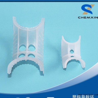 異鞍環(huán) 塑料異鞍環(huán) 增強聚丙烯異鞍環(huán)