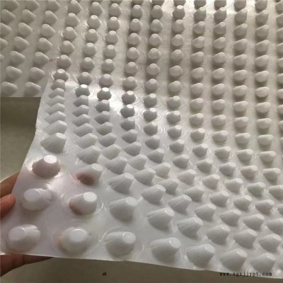 洛陽(yáng) 地下車(chē)庫(kù)排水板 隧道用原料排水板 廠家直供 可按需定制