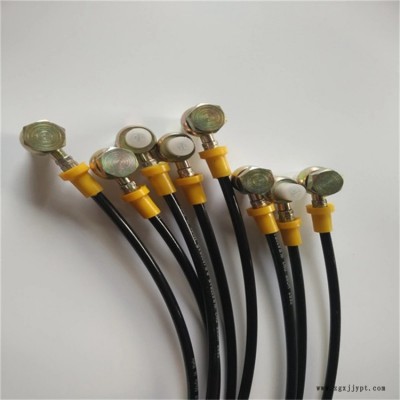 測(cè)壓軟管-液壓表測(cè)壓軟管-壓力測(cè)試高壓軟管(誠信商家)