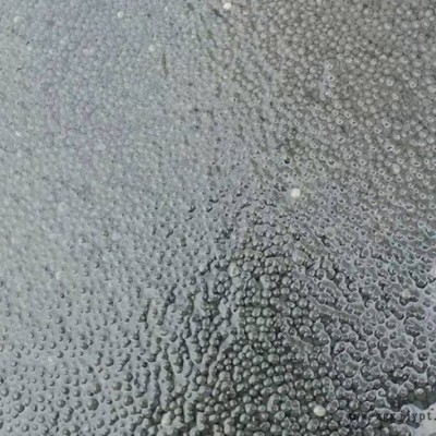 檸檬酸厭氧顆粒污泥-貴宏商貿(mào)(在線咨詢(xún))-江蘇厭氧顆粒污泥