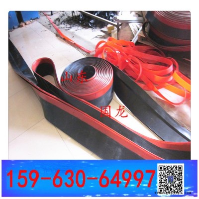 防護(hù)裙板 防溢裙板 聚氨酯橡膠Y-260x15mm 快樂在身邊