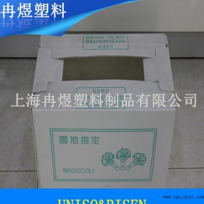 塑料中空板箱，PP中空板箱，環(huán)保塑料周轉(zhuǎn)箱 生產(chǎn)