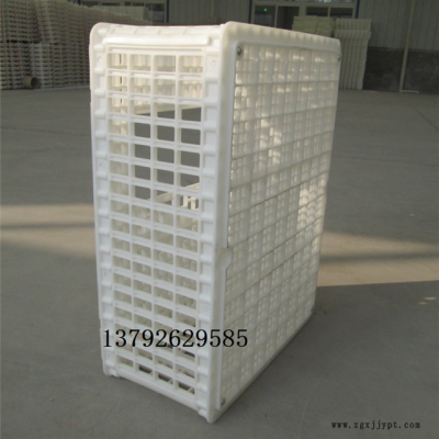 供應(yīng)成雞周轉(zhuǎn)筐 成雞肉雞轉(zhuǎn)運籠 成雞周轉(zhuǎn)箱