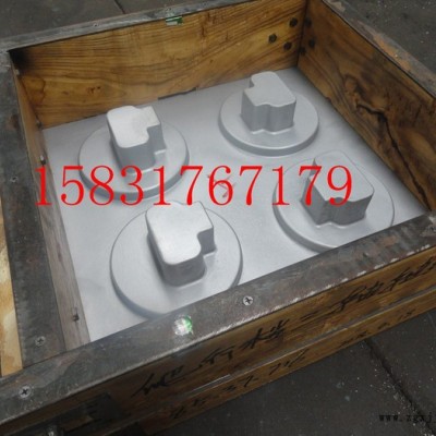 泊頭廠家專業(yè)設(shè)計(jì) 加工 制造 各種鑄造模具