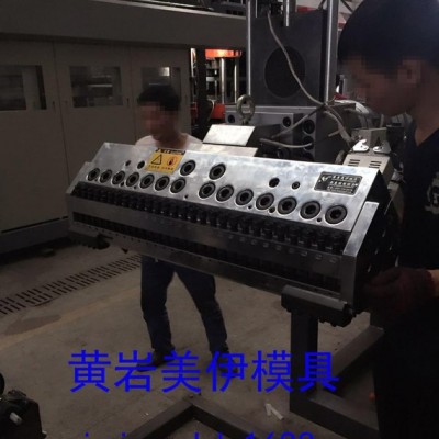 片材PP擠出成型模具 精密片材擠出模具，臺州黃巖PMMA片材模具，