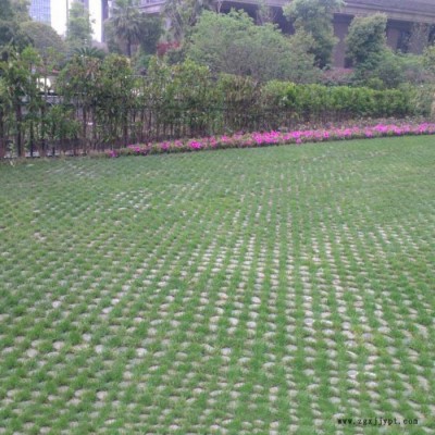 高承載植草地坪 現(xiàn)澆停車場(chǎng)地坪 中創(chuàng)華美