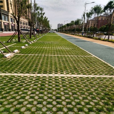 戶外綠色停車場(chǎng) 高承載植草地坪 中創(chuàng)華美