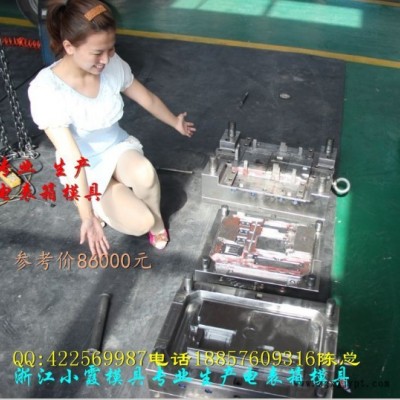 浙江注塑模具 國網(wǎng)新標準三相2電表箱模具小霞地址