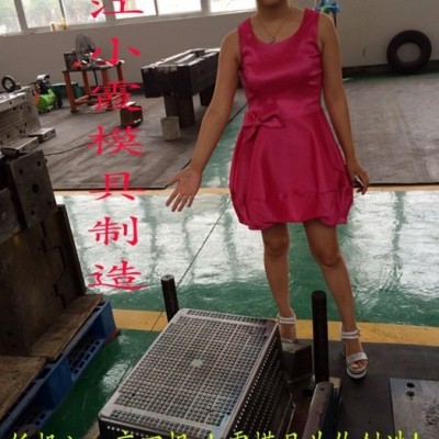 運(yùn)輸箱模具浙江地址