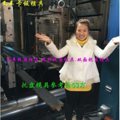 黃巖注塑模具廠 1.4m棧板塑膠模具 塑料網(wǎng)格托盤模具制造價格