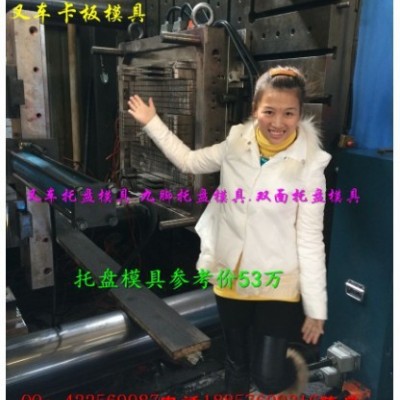 臺州注塑模具廠 1.5m塑料棧板模具  一米三單面塑膠棧板模具低價促銷