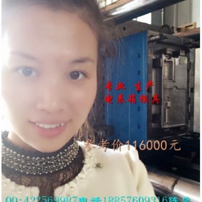 浙江小霞模具，電表箱模具廠家，專(zhuān)業(yè)塑料電表箱模具公司塑料模具