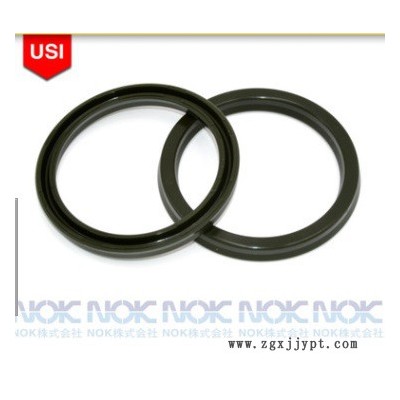 USI型 活塞和活塞桿兩用密封件  USH型密封件