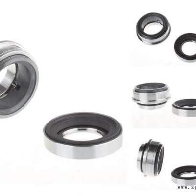 587+MG12S14-65 安德里茨紙漿中濃泵機(jī)封 機(jī)械密封