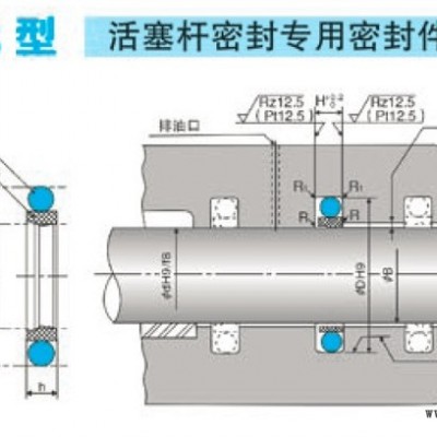 NOK密封件SPNS型 耐磨損 機(jī)械活塞桿油封
