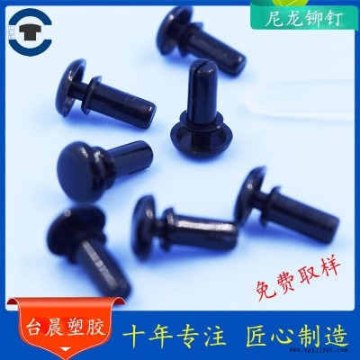 東莞臺晨 尼龍鉚釘 塑膠鉚釘 R型鉚釘 PA66材質(zhì) 國內(nèi)外知名公司供應(yīng)商