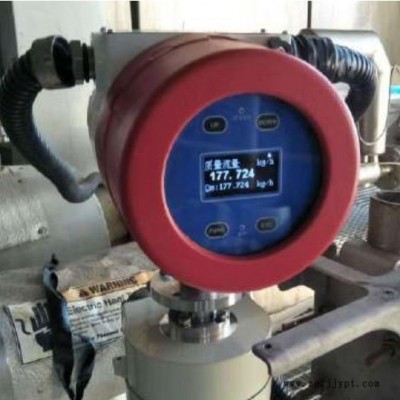 小流量發(fā)泡劑流量計 食用油流量計