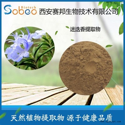 賽邦生物 迷迭香提取物 抗氧化劑食品級(jí) 迷迭香 水 溶 迷迭香酚 現(xiàn)貨供應(yīng)