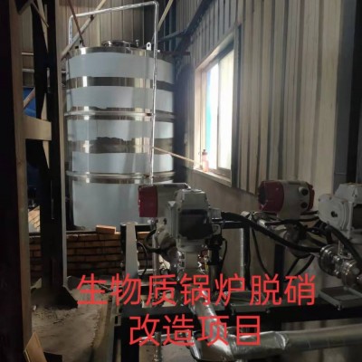 生物質(zhì)鍋爐脫硝系統(tǒng) 脫硝催化劑 脫硝方案 脫硝裝置巨浪