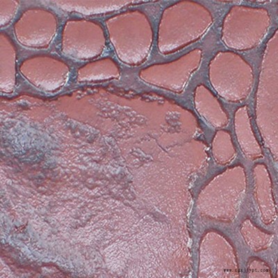 小區(qū)度假村膜壓地坪脫模劑，模具免費借用