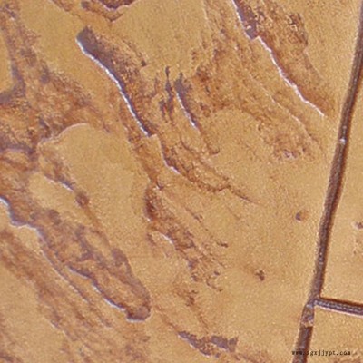 家庭院子壓印地坪脫模劑，模具免費(fèi)借用