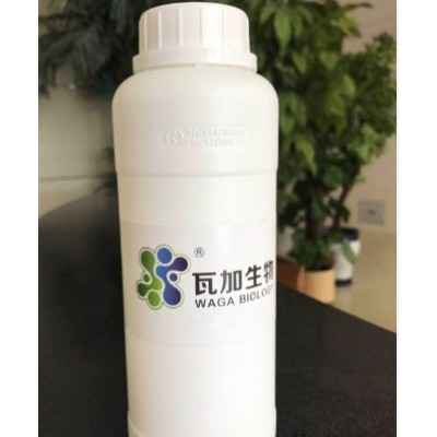 山東正規(guī)水性木器漆專用抗菌劑高品質(zhì)的選擇 服務(wù)為先 上海瓦加生物科技供應(yīng)