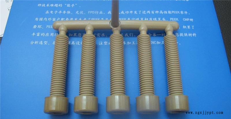 M12乘55內(nèi)六角PEEK螺絲 PEEK螺釘 進口PEEK螺