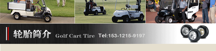 高爾夫車/觀光車/游覽車/巡邏車等各種新能源**驅(qū)動車輪胎！