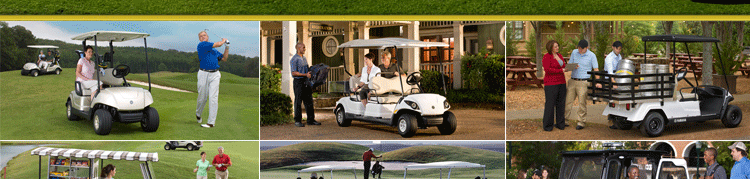 高爾夫車/觀光車/游覽車/巡邏車等各種新能源**驅(qū)動車輪胎！