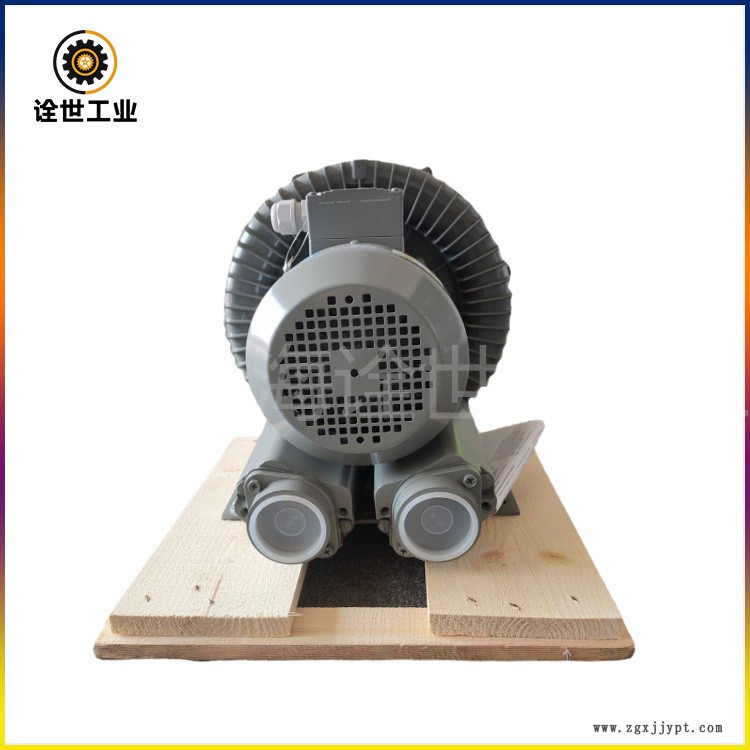 DG-300-26吹膜機(jī)用臺灣達(dá)綱鼓風(fēng)機(jī)