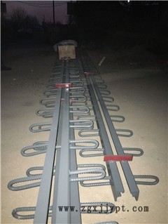 新聞：湖南郴州公路橋梁伸縮縫廠家—駿鴻集團(tuán)