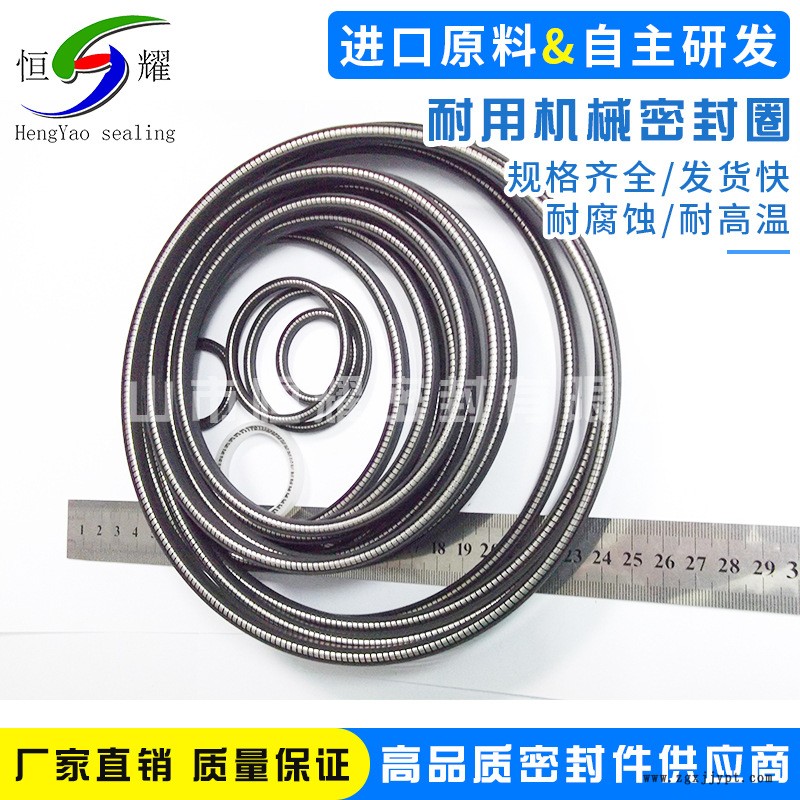 批發(fā)供應(yīng)機(jī)械醫(yī)用密封圈 定制彈簧蓄能密封圈 自動(dòng)化設(shè)備密封圈示例圖4