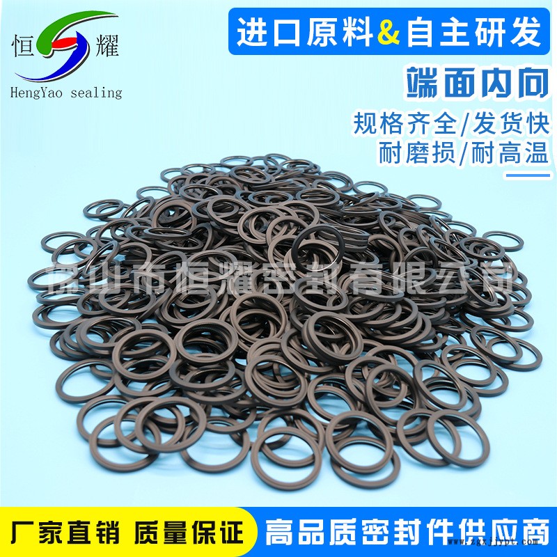 廠家直銷端面內(nèi)向蓄能泛塞密封圈 端面內(nèi)向泛塞封 雙面作用泛塞封示例圖4