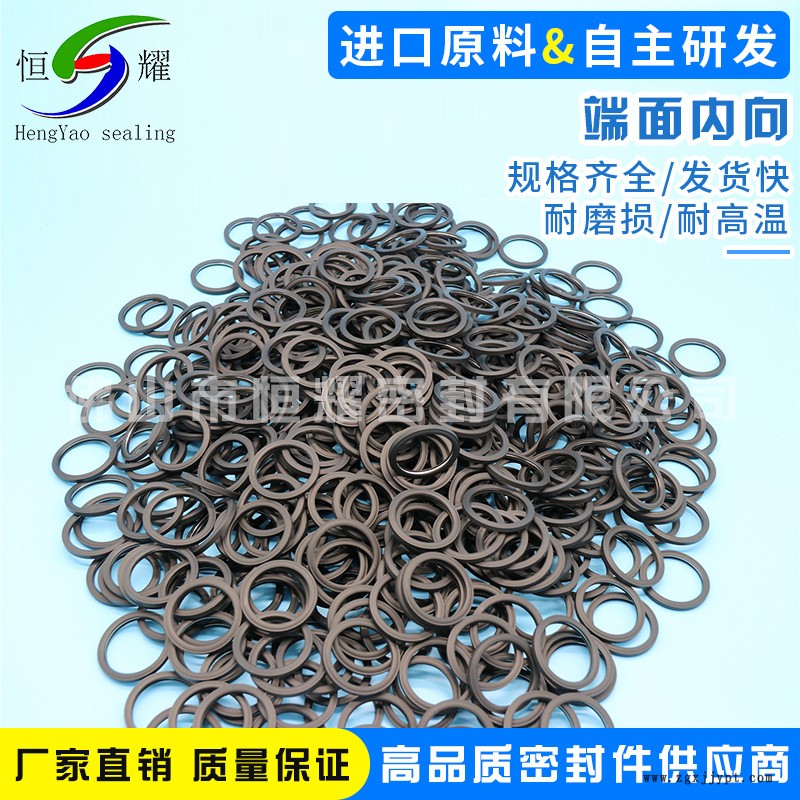 廠家直銷端面內(nèi)向蓄能泛塞密封圈 端面內(nèi)向泛塞封 雙面作用泛塞封示例圖5
