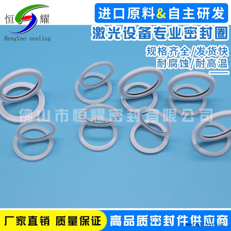 廠家直銷優(yōu)質(zhì)機(jī)械密封圈 直銷標(biāo)準(zhǔn)泛塞封密封件 激光設(shè)備密封件示例圖5