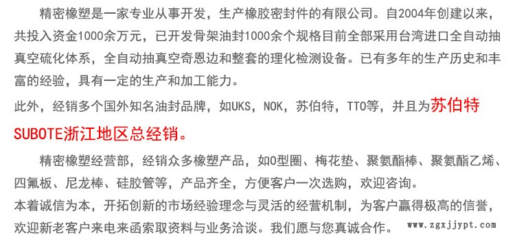 廠家直銷密封圈氟橡膠TC骨架油封大量供應(yīng)可定制示例圖1